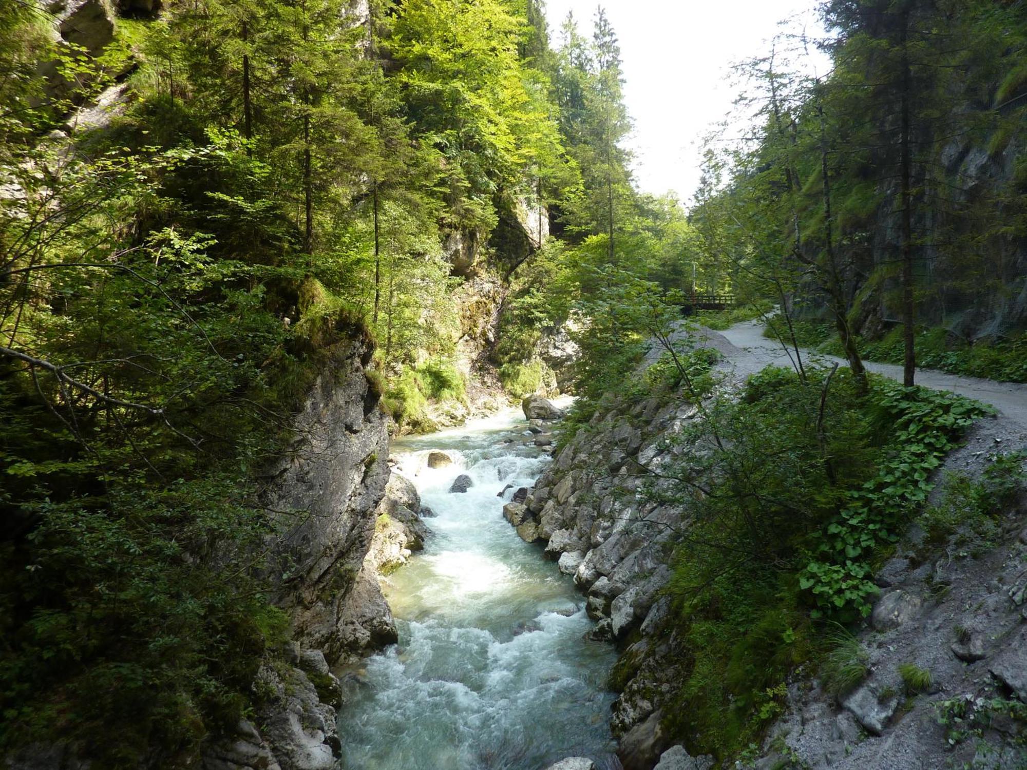 Haus Moosanger Daire Oberau Dış mekan fotoğraf